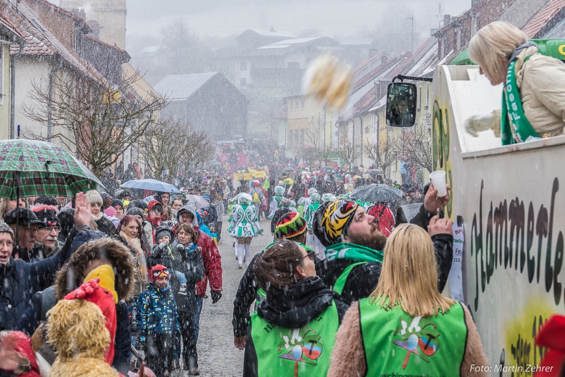 Foto: Martin Zehrer - Gaudi, Gaudi, Gaudi!!! Faschingszug des WCV durch Waldeck am 11. Februar 2018!  