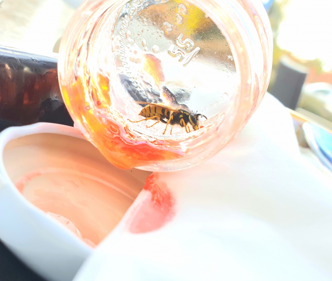 Foto: Martin Zehrer - Ein Marmelade-Dieb am Frühstücks-Tisch :-)<br />
<br />
Wir hatten mit der Wespe vereinbart, dass sie ins Marmelade-Glas darf, wenn wir dann in Ruhe Frühstücken können... ;-) 