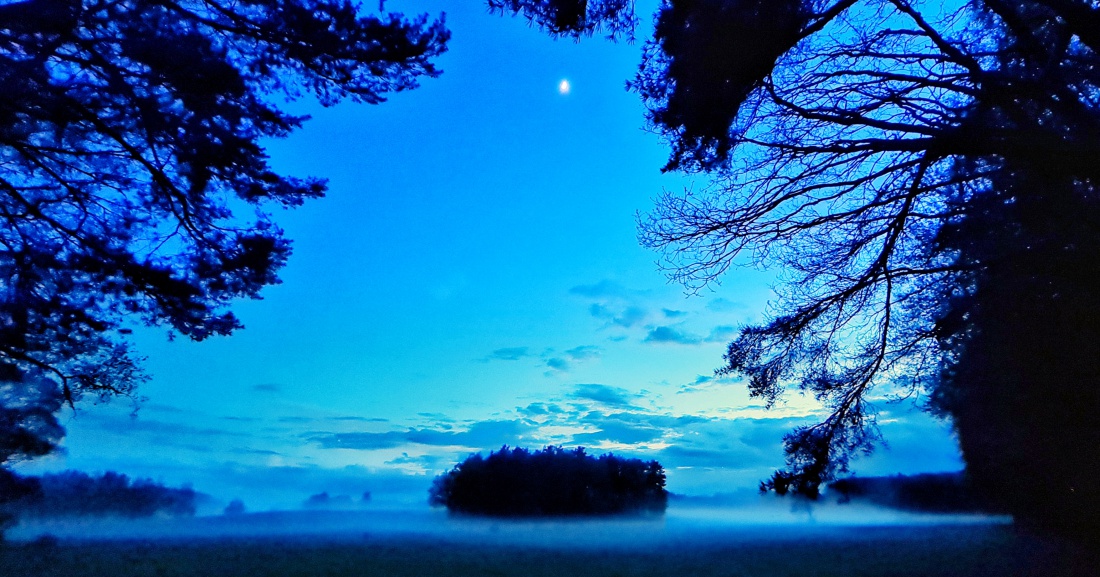 Foto: Jennifer Müller - Einfach mystisch und wunderschön... 