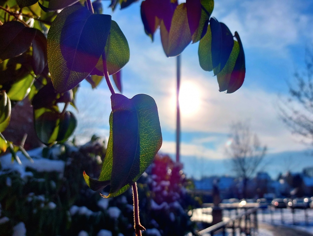 Foto: Martin Zehrer - Kemnath... Sonne im Hintergrund... 