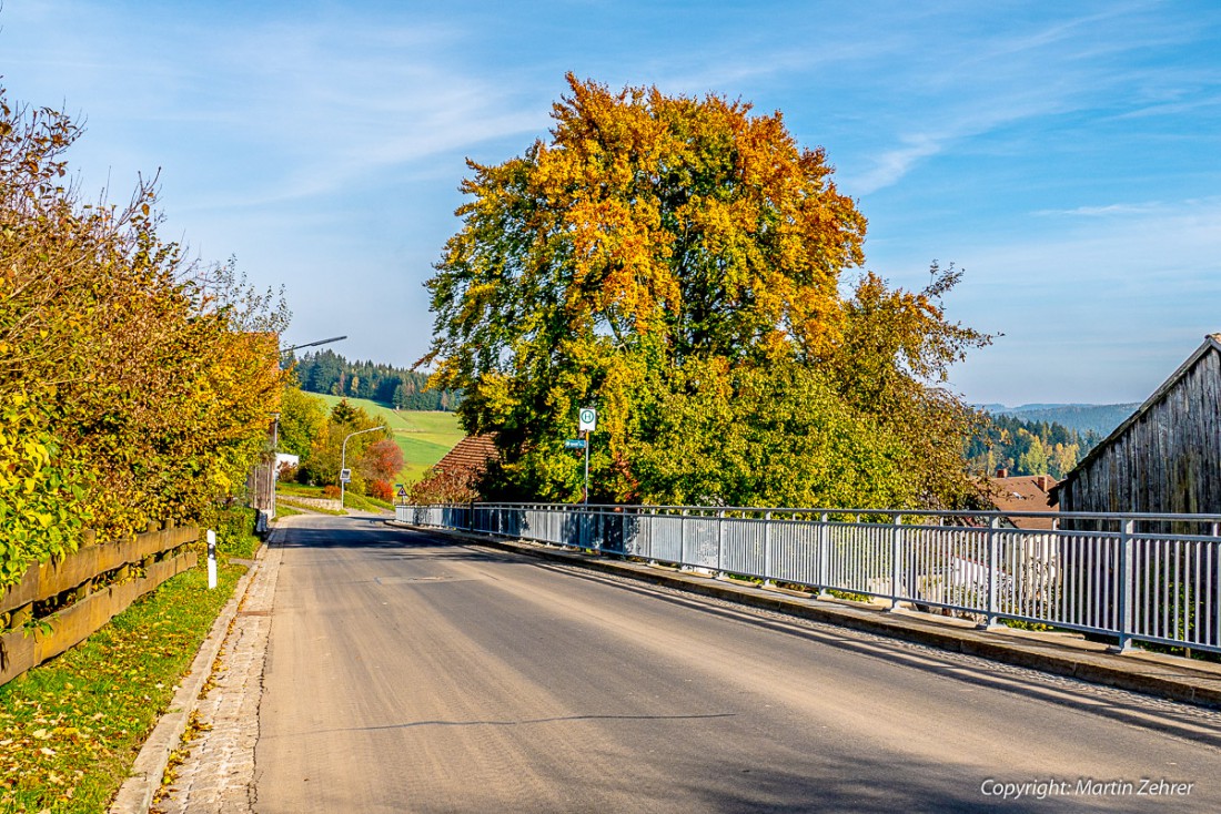 Foto: Martin Zehrer - Herbst - Oktober 2015: Ortsdurchfahrt in Godas mit bunten Bäumen am Rand. Der rechts stehende, goldene Baum befindet sich beim Kalmer Annerl im Hühner-Garten... 