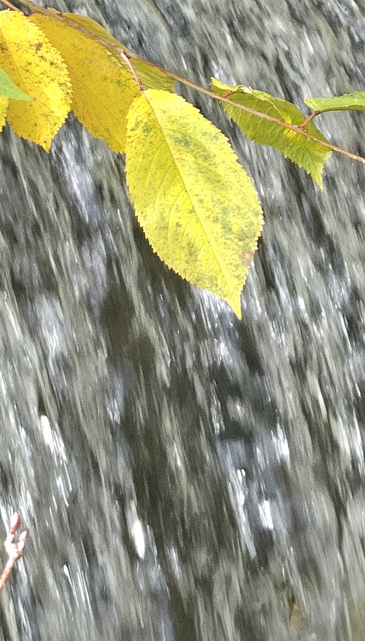 Herbstmomente am Wasserfall...