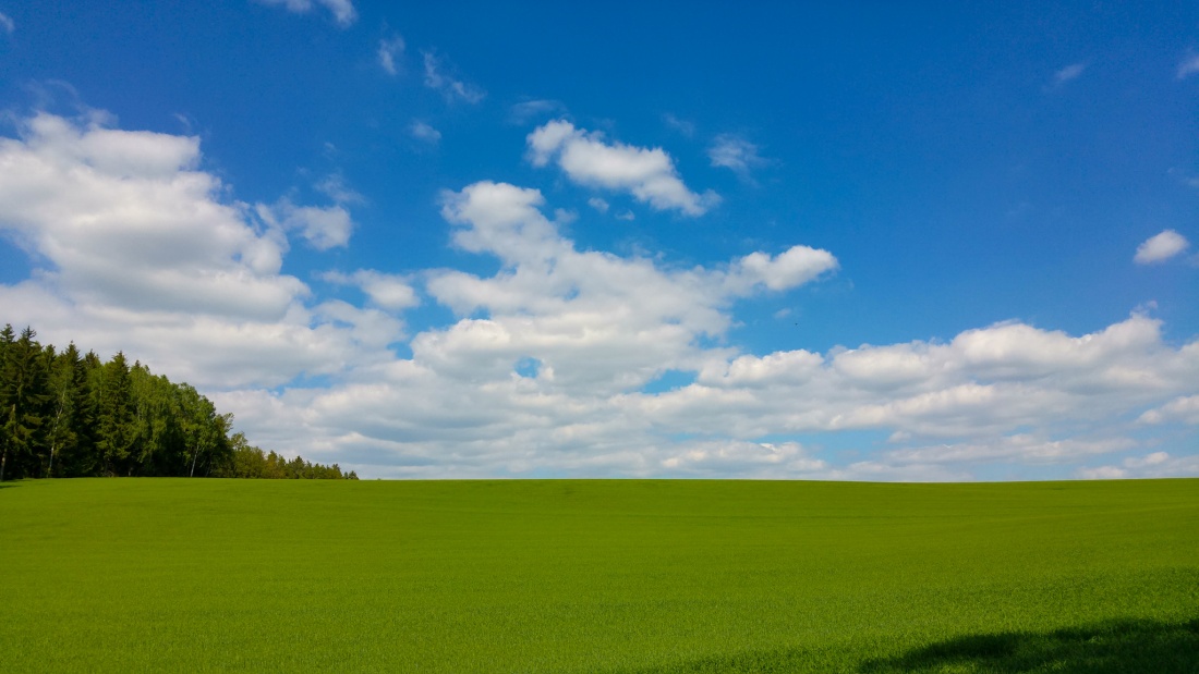 Foto: Martin Zehrer - 17. Mai 2017 - endlich sommer! 