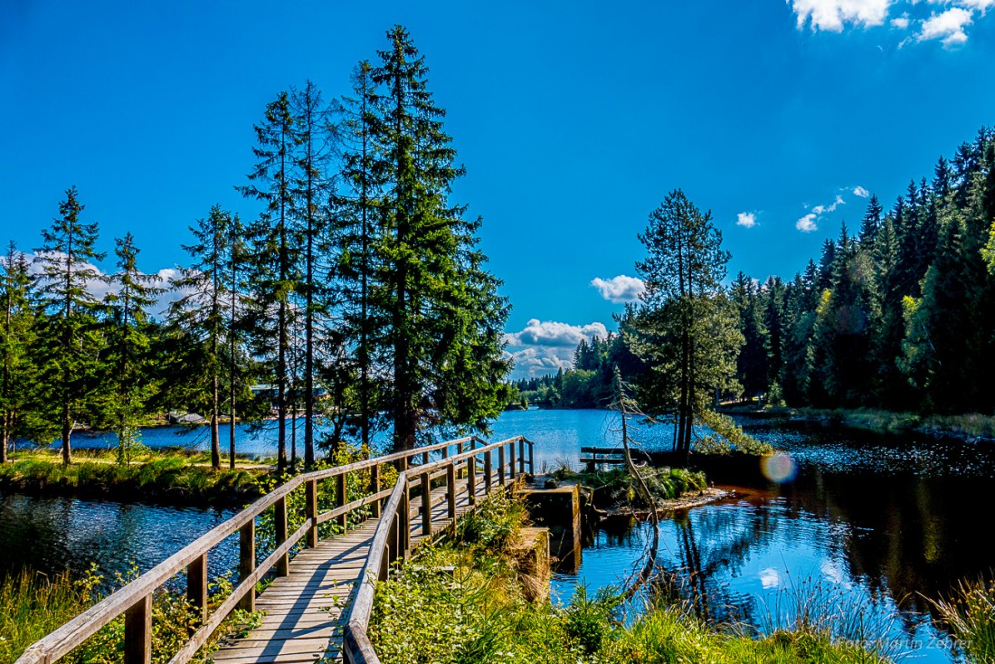 Foto: Martin Zehrer - Angenehme Wanderwege und verwinkelte Stege führen um den Fichtelsee. Ein himmlischer Anblick... 