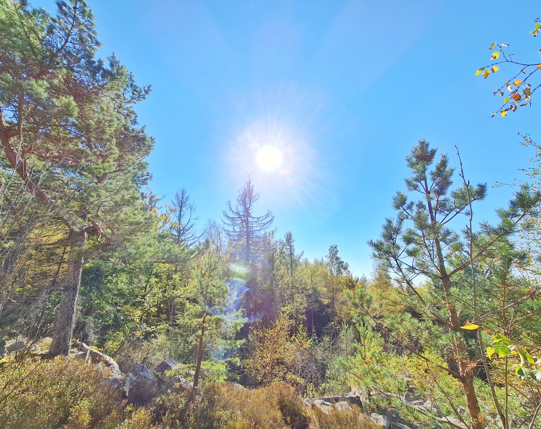 Foto: Jennifer Müller - Morgens Wandern in Godas und Nachmittags hoch zum Steinwald. Ein herrlicher Herbst-Sonnentag machte es uns unmöglich heut zuhause zu bleiben. Wir mussten einfach raus in  