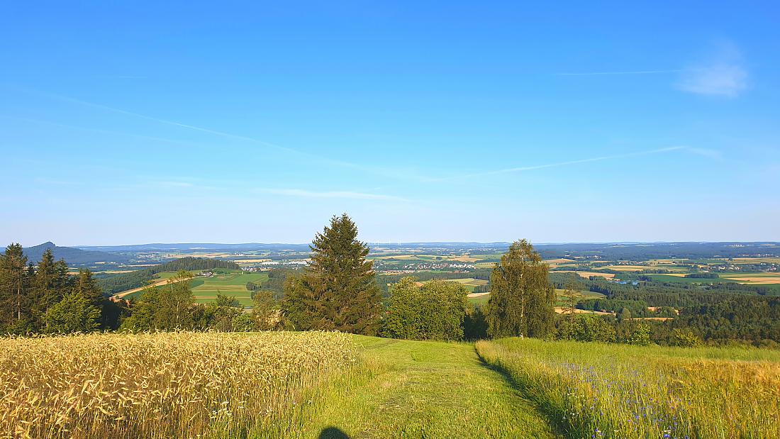 Foto: Martin Zehrer - Wer hat die scheynste Oberpalz? Wir homs... <br />
Godas, 13. Juli 2020 - 7:23Uhr... ;-)<br />
 