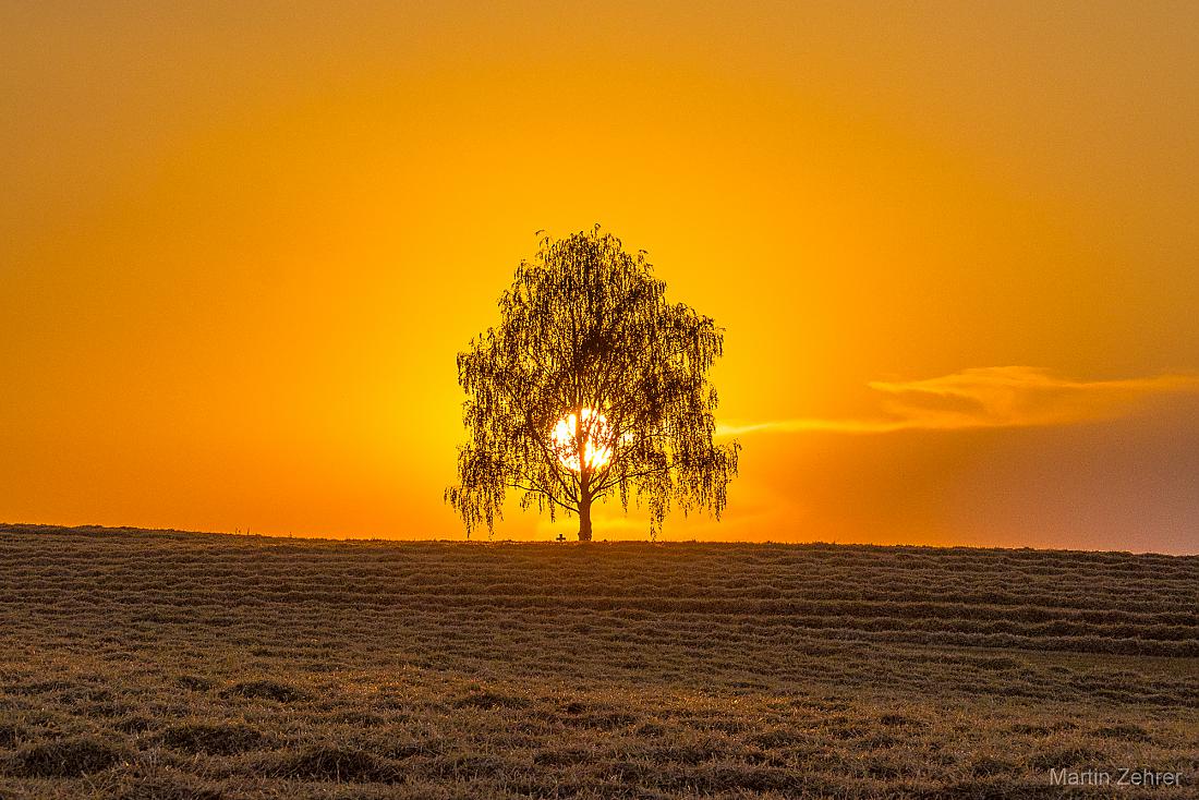 Foto: Martin Zehrer - Unglaublicher Moment... Sonnen-Traum ;-) 