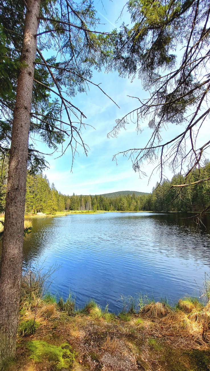 Foto: Martin Zehrer - Frühlingswanderung um den Fichtelsee im Fichtelgebirge... 