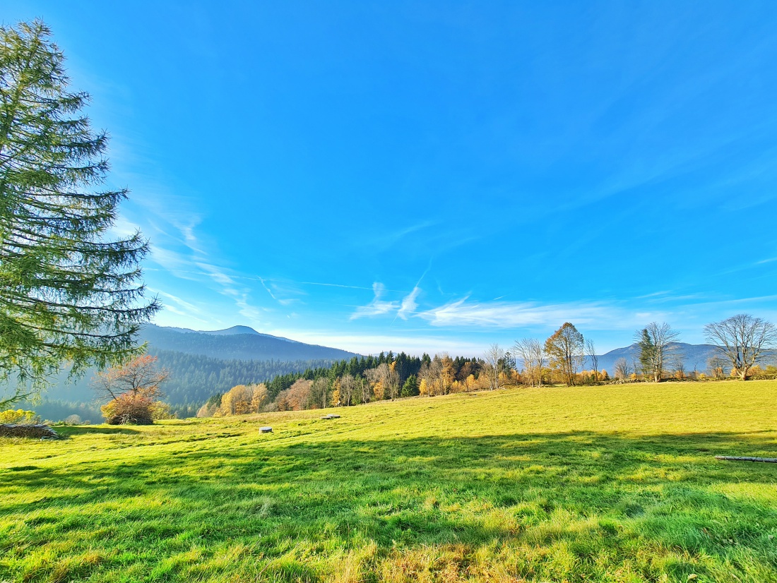 Foto: Jennifer Müller - Sonntags-Sonnen-Ausflug zum kleinen Arbersee. Einfach ein wunderschönes Erlebnis. 