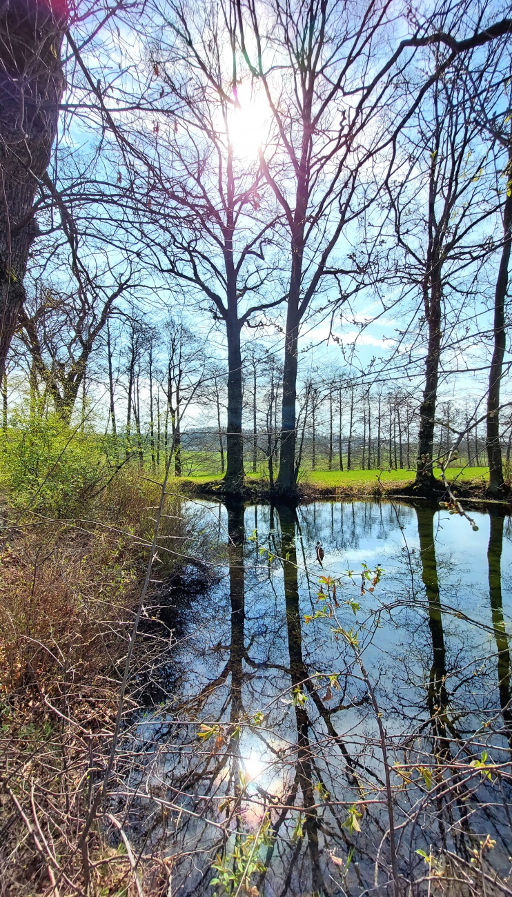 Foto: Martin Zehrer - Kleines Fleckchen Paradies... an der Kapelle bei Kaibitz... 