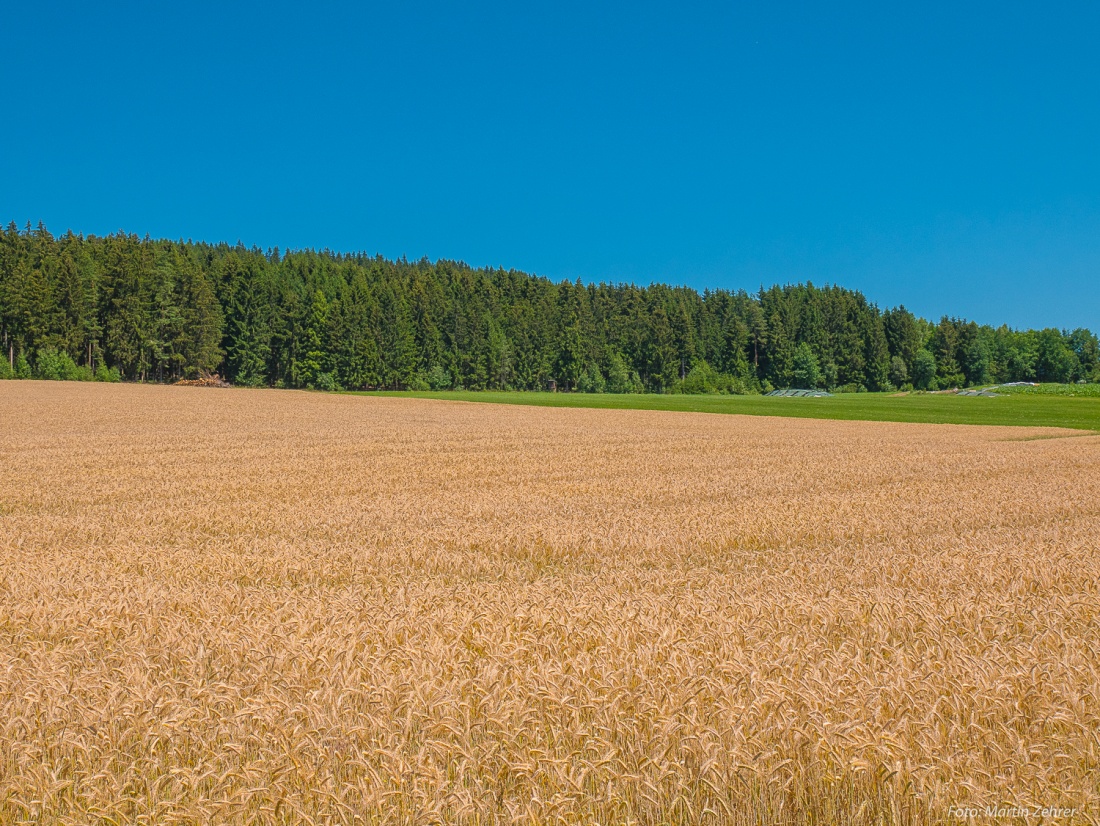 Foto: Martin Zehrer - Sommer bei Aign... :-)<br />
<br />
30. Juni 2018 - Radtour von Kemnath nach Waldershof, quer durch den Kösseine-Wald... 