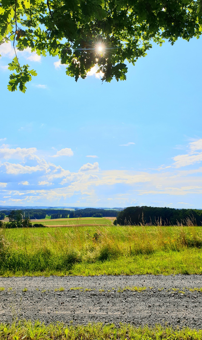 Foto: Martin Zehrer - Verweilen und genießen auf einer Bank am Wegesrand zwischen Neusteinreuth und Godas.<br />
 