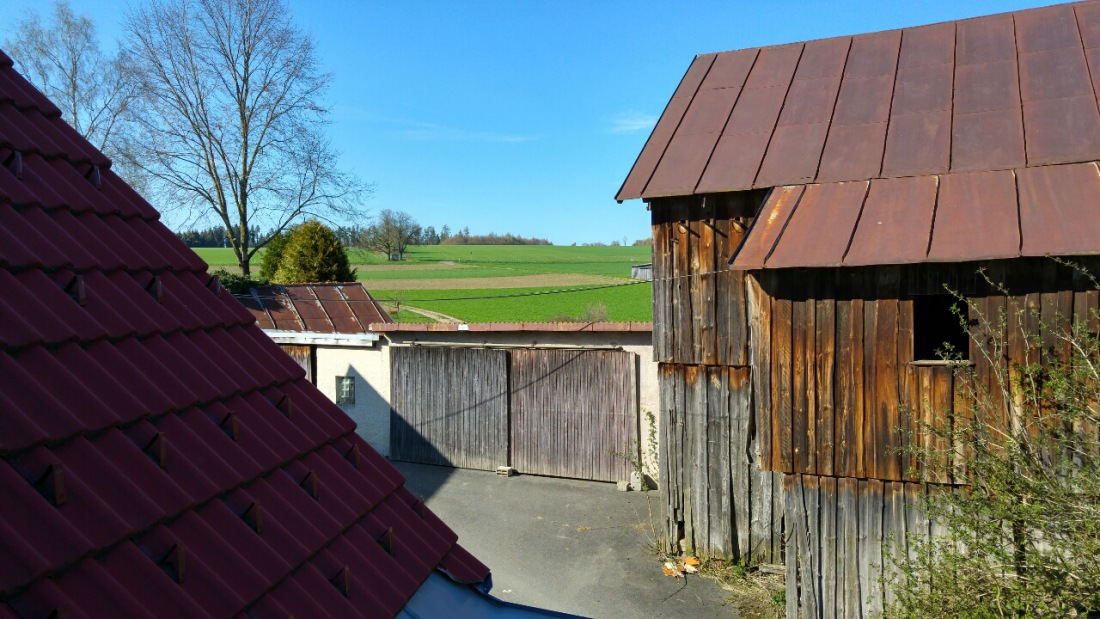 Foto: Martin Zehrer - Es ist heute Sommer :-) 