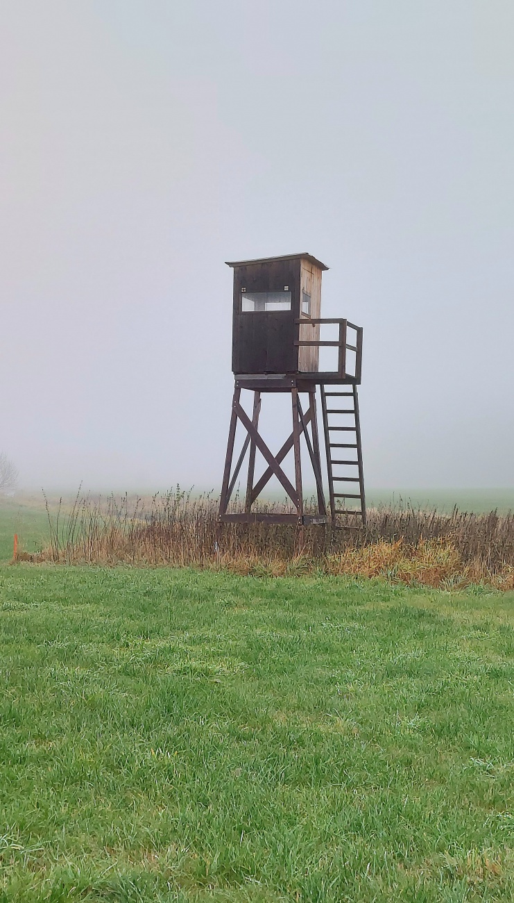 Foto: Martin Zehrer - Jägersitz im Herbstnebel... 