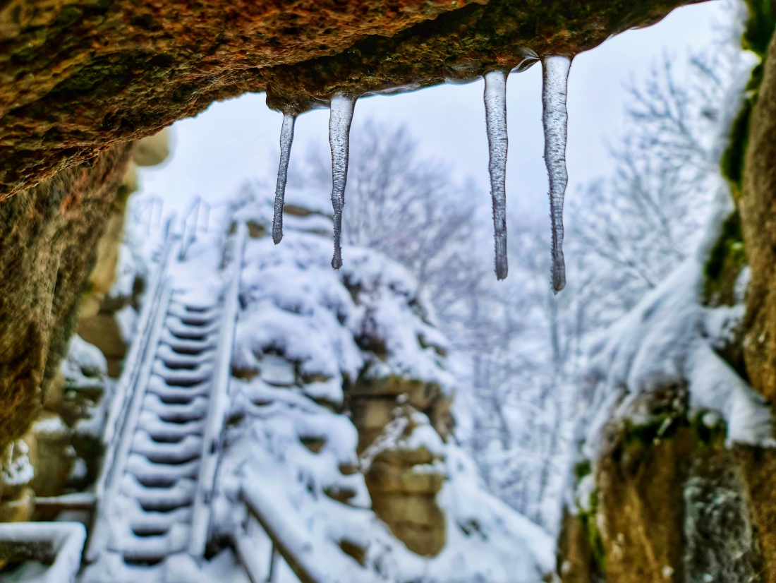 Foto: Jennifer Müller - Es hat wieder geschneit :-)<br />
Nichts wie raus in die wunderschöne Natur!<br />
Heut gehts rauf zur Burgruine Weißenstein. Auf krachendem Schnee durch den Winter-Weihnachts-Wald 