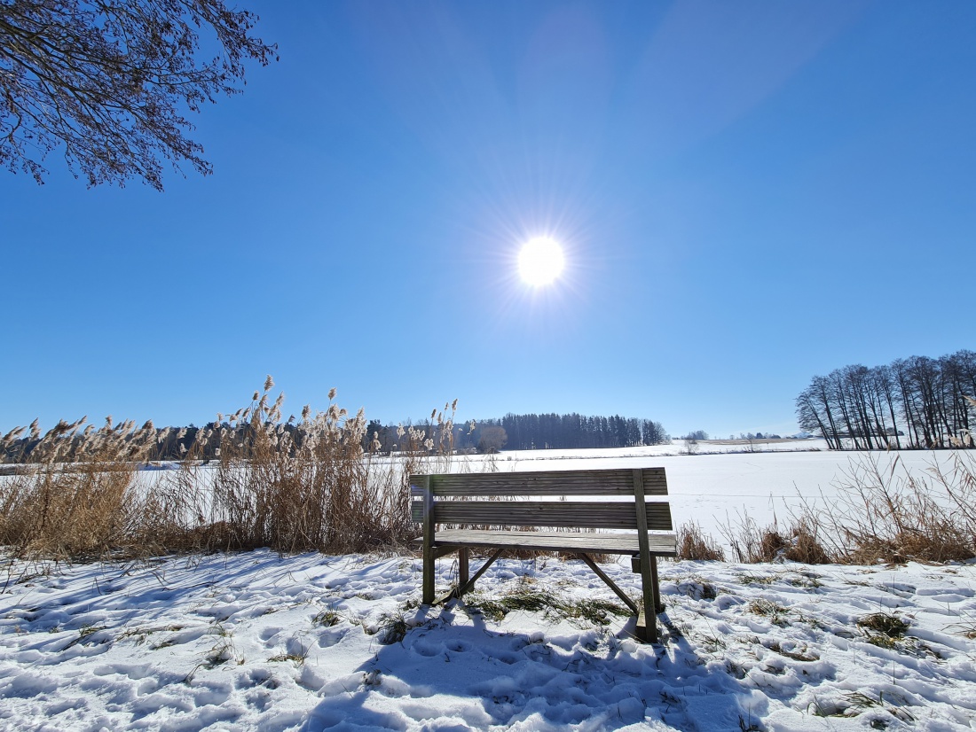 Foto: Jennifer Müller - Valentinstag 2021... Schöner könnte das Wetter nicht sein! Unterwegs zwischen Kulmain und Altensteinreuth... Sonne, ca. -3 Grad und nahezu windstill... Ein Traum! 