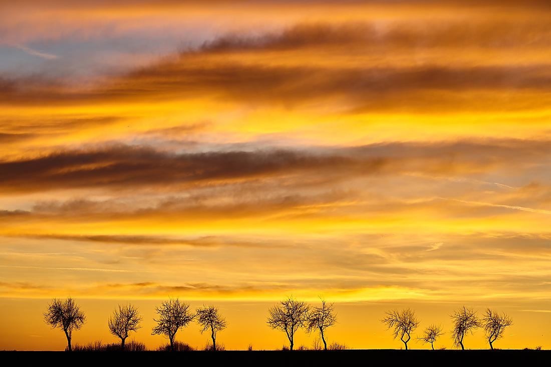 Foto: Martin Zehrer - Es erinnert an eine weite Savanne Afrikas...<br />
<br />
Sonnenuntergang am 20.12.2019 bei Kemnath 