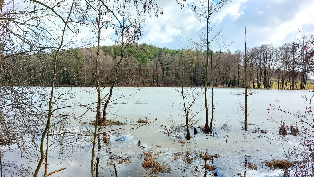 Noch liegt eine weiche Eisschicht über dem Weiher...

Am 24. Februar 2026 war das Wetter bei Kemnath sehr frühlingshaft.
Die Temperatur lag so ca. bei +14 Grad, die Vögel pfiffen um die Wette und es lag der Duft von frisch aufgetauter Erde in der Luft.
Die Wolken wetteiferten mit der Sonne um die Vorherrschaft. 