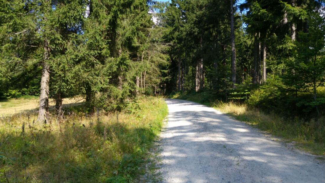 Foto: Martin Zehrer - Radtour zum Ochsenkopf-Gipfel... Es ging nur bergaufi... 