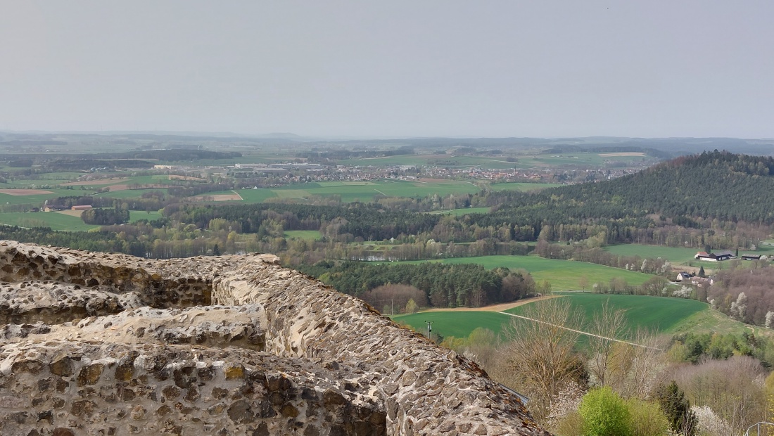 Foto: Martin Zehrer - Frühlingswanderung zur wunderschönen Burgruine auf dem Schlossberg bei Waldeck. 