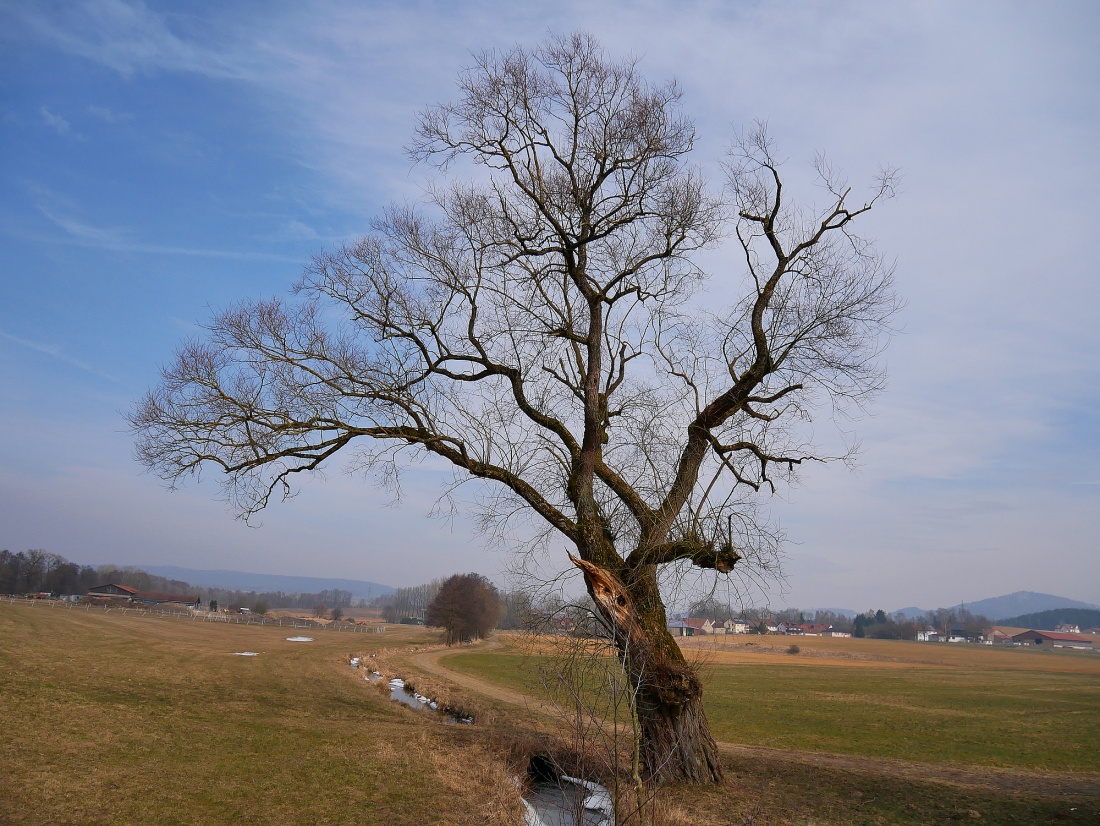 Foto: Martin Zehrer - Wunderschön alt... 