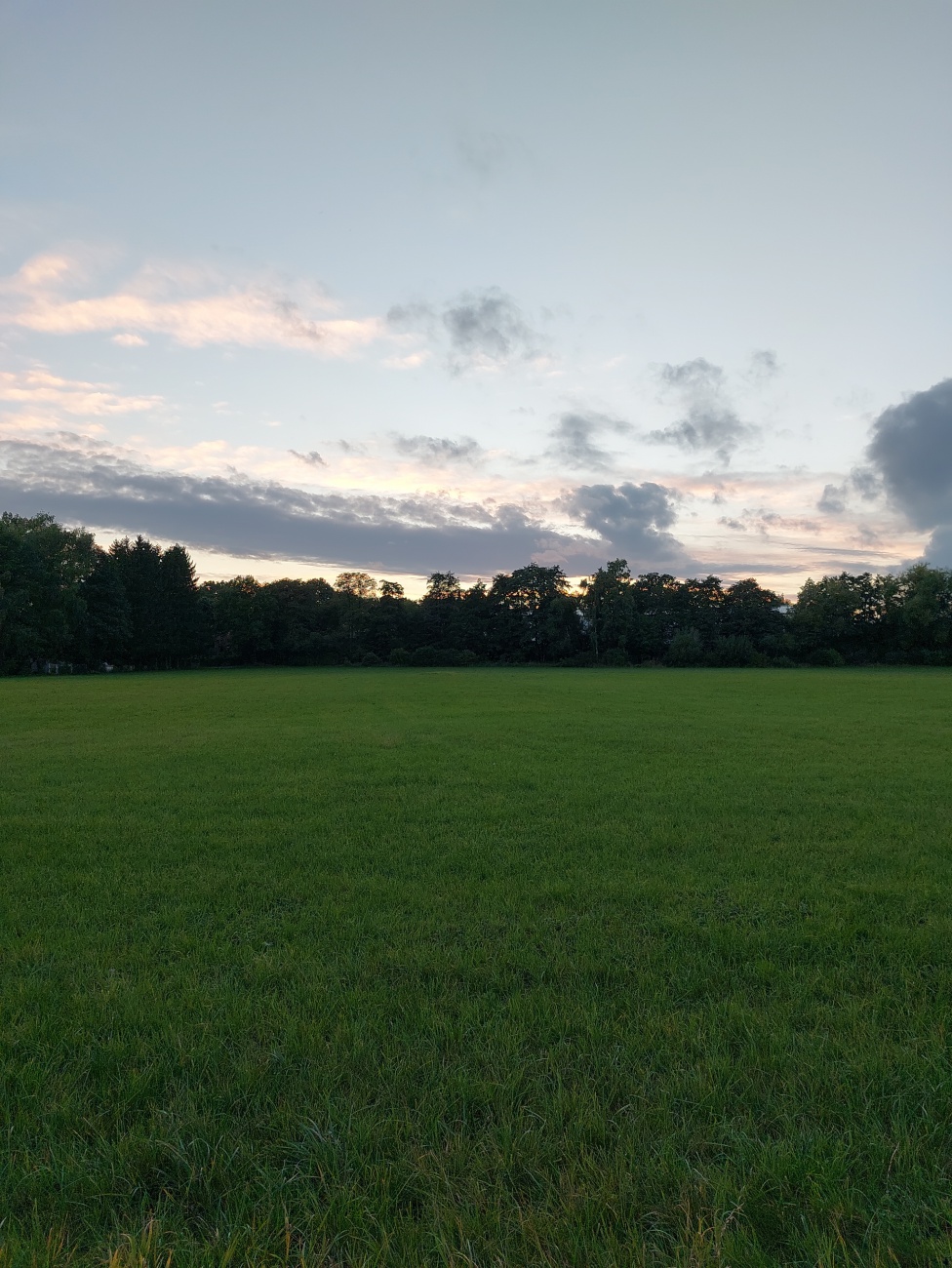 Foto: Martin Zehrer - Das Bild zeigt eine friedliche Landschaft in Kemnath, die durch ein sanftes Abendrot geprägt ist. <br />
Der Horizont wird von einer dichten Baumreihe begrenzt, die in der Däm 