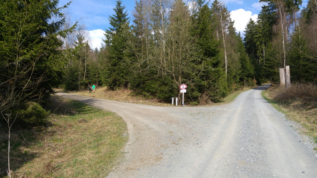 Foto: Martin Zehrer - Links eingebogen in einen Wald-Pfad... Von da gehts direkt zum Armesberg hoch 