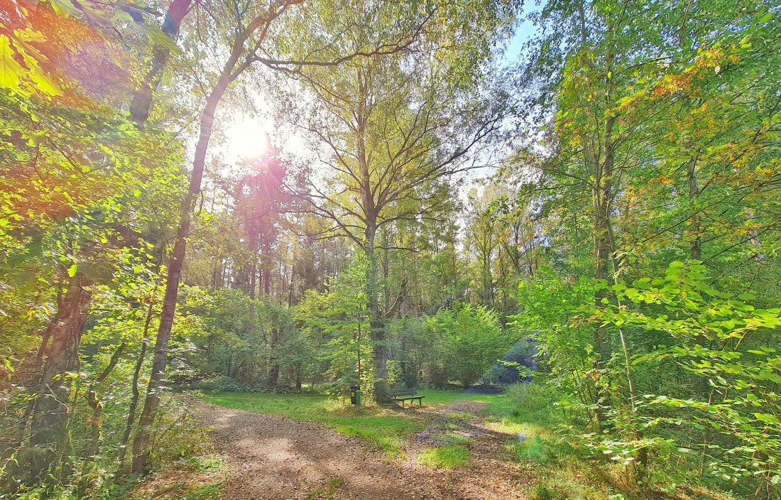 Foto: Jennifer Müller - Der Obersee (großer Rußweiher) in Eschenbach. Ein sehr sehenswertes Naturschutzgebiet in der Oberpfalz mit vielen verschiedenen Vogelarten und einer großartigen Landschaf 