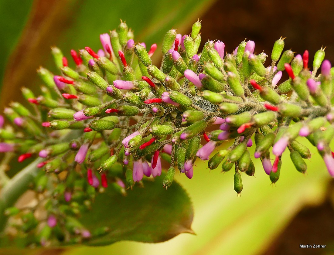 Foto: Martin Zehrer - Ökologisch-Botanischen Garten in Bayreuth. Ausspannen in der Frühlingssonne. Die Blätter rauschen im Wind, Vögel zwitschern um die Wette, das Wasser plätschert im kleinen 