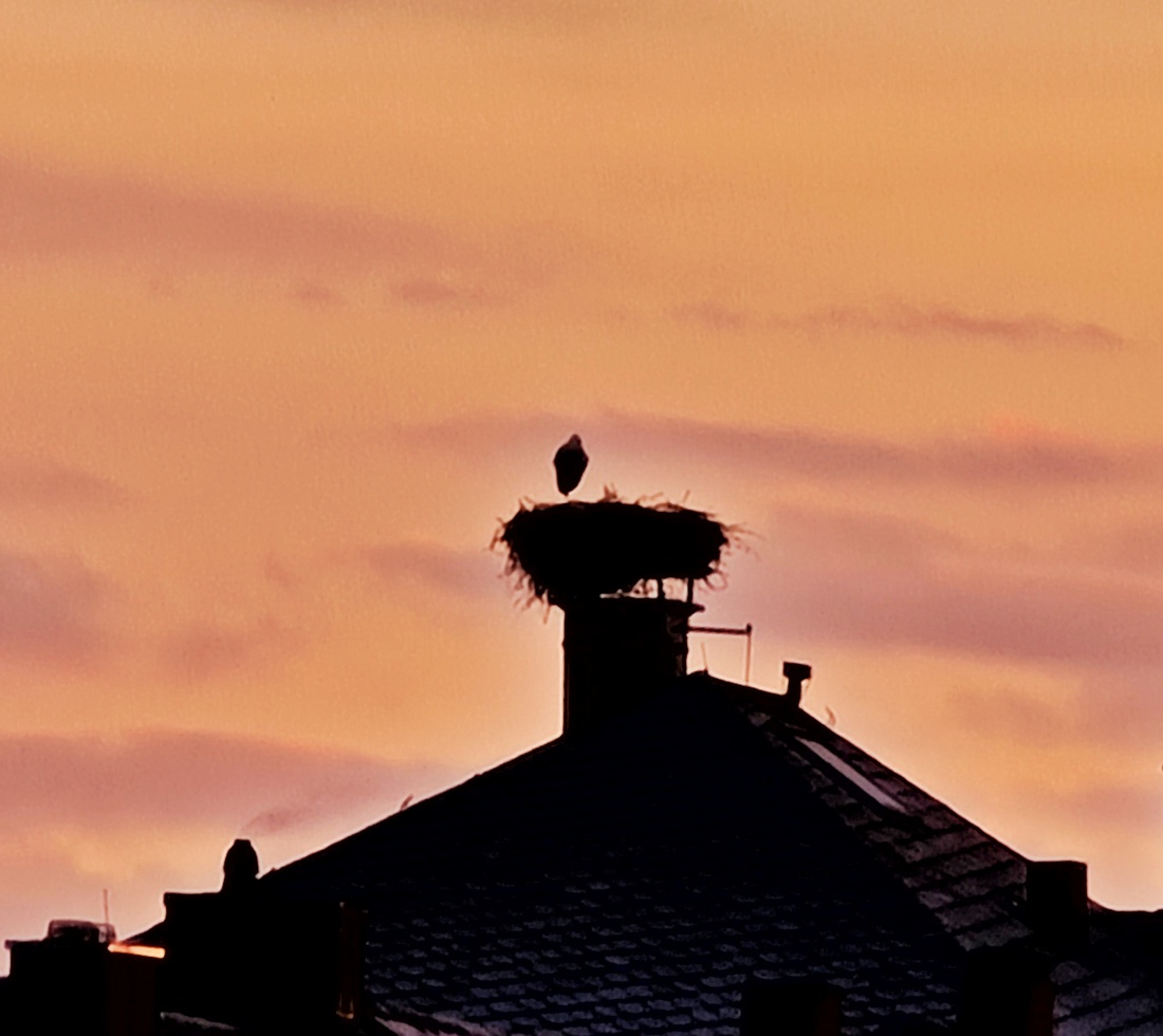 Foto: Jennifer Müller - Warten auf den Sonnenaufgang;-) 