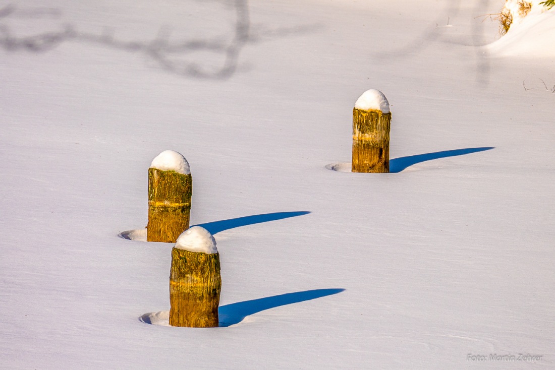 Foto: Martin Zehrer - Alleine im Fichtelsee... 