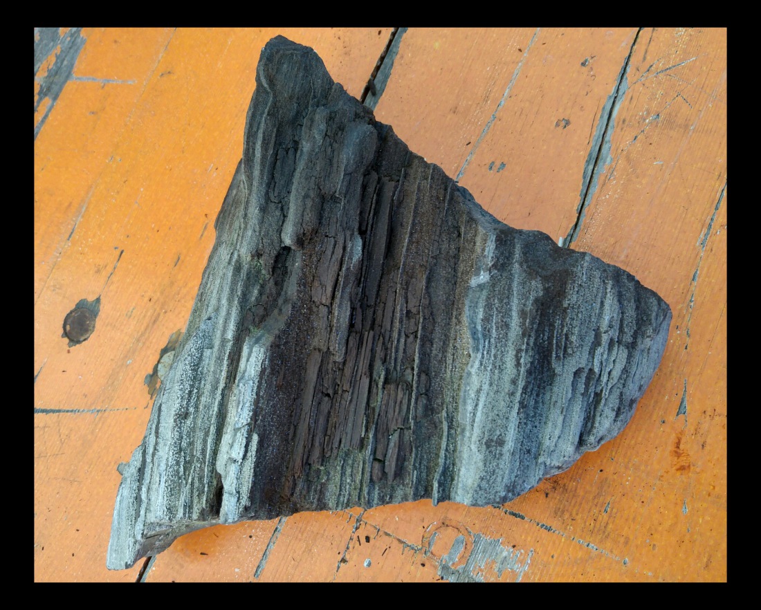 Foto: Martin Zehrer - Heute beim Houderer in Kemnath von Kai und Beate mitgebracht: Ein Stück versteinerdes Holz.  