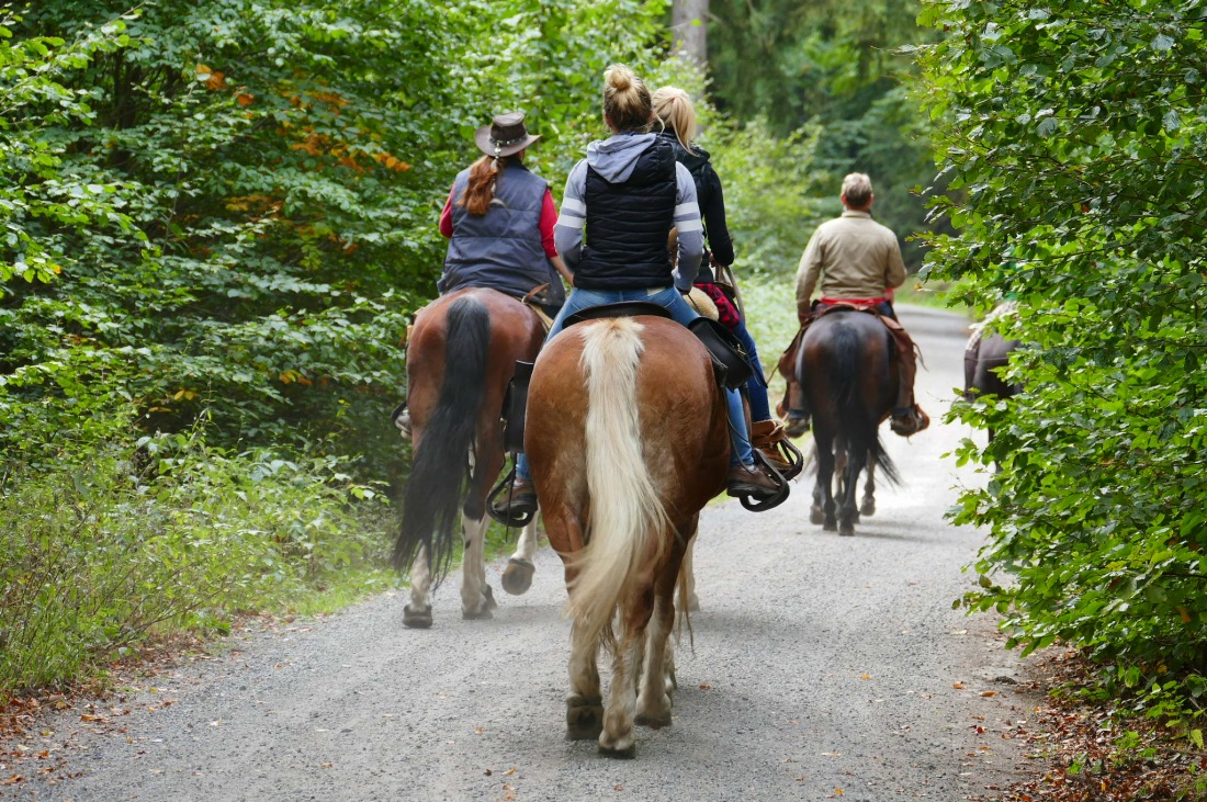 Foto: Martin Zehrer - Wandern im Steinwald<br />
<br />
Reiter unterwegs... 