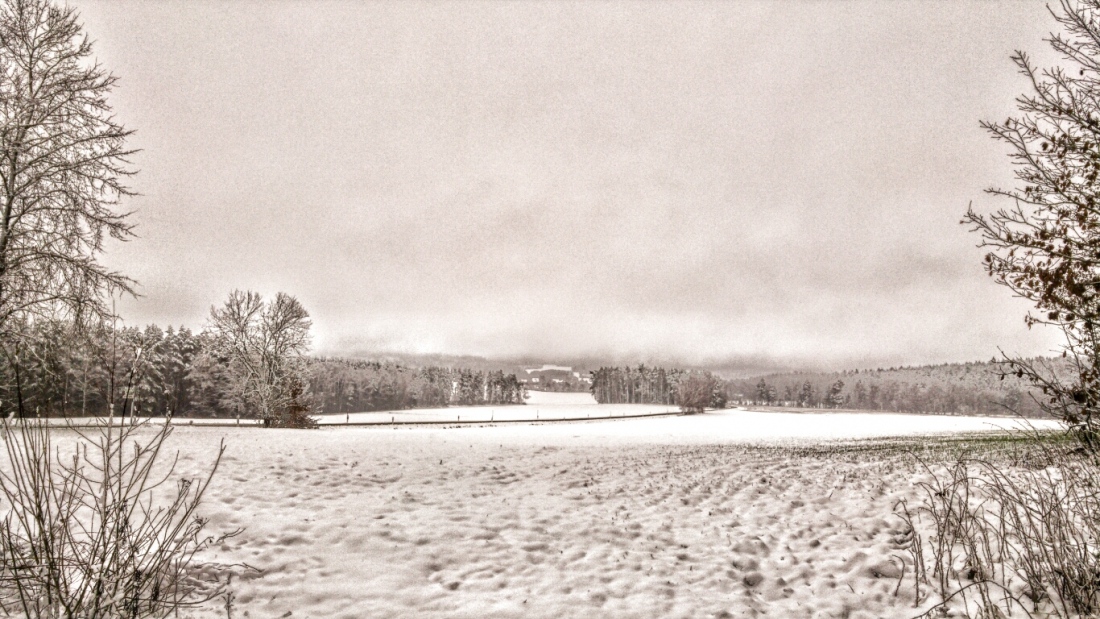 Foto: Martin Zehrer - 5. Januar 2019... Es ist Winter! 