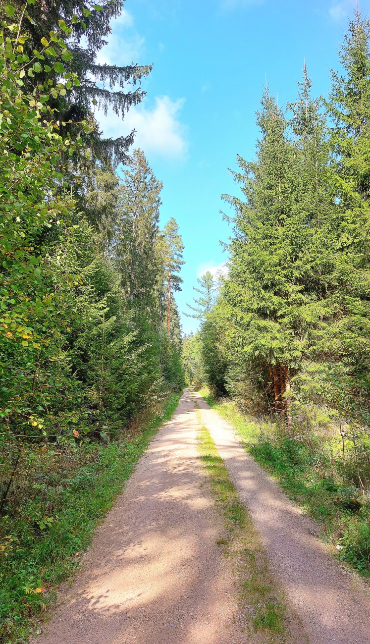 Foto: Martin Zehrer - Auf dem Weg... 