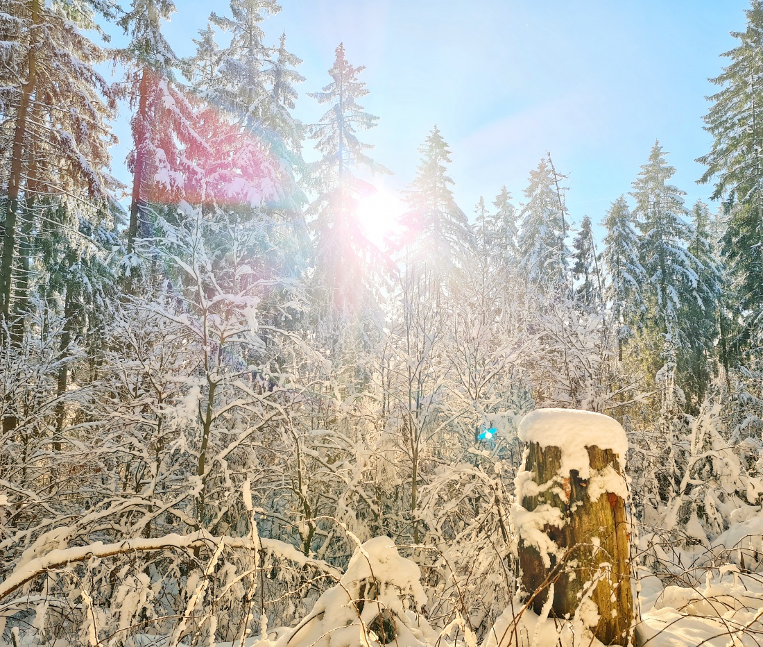 Foto: Jennifer Müller - Heute mal rauf auf die Kösseine.<br />
Winter-Wonderland und Sonne über Sonne... am Himmel und im Herzen 