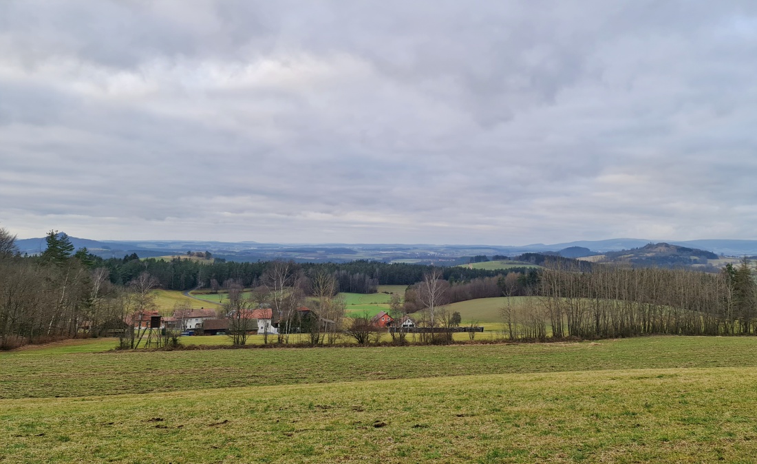 Foto: Jennifer Müller - Neujahrs-Spaziergang in Albenreuth. So ein wunderschönes Fleckchen Erde! 