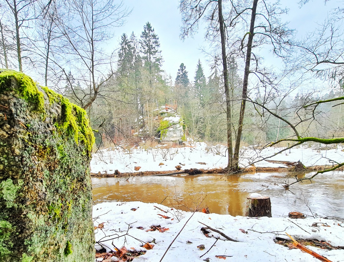 Foto: Jennifer Müller - Heute am 05.02.2021 unterwegs im Waldnaabtal 