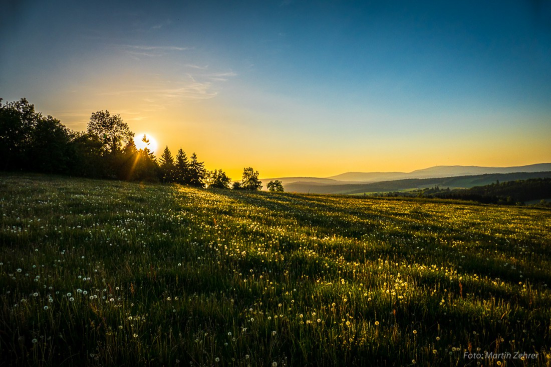 Foto: Martin Zehrer - Gleich ist sie weg. Die Sonne verschwindet hinterm Armesberg. Bäume und Blumen wanken im Goldlicht... 