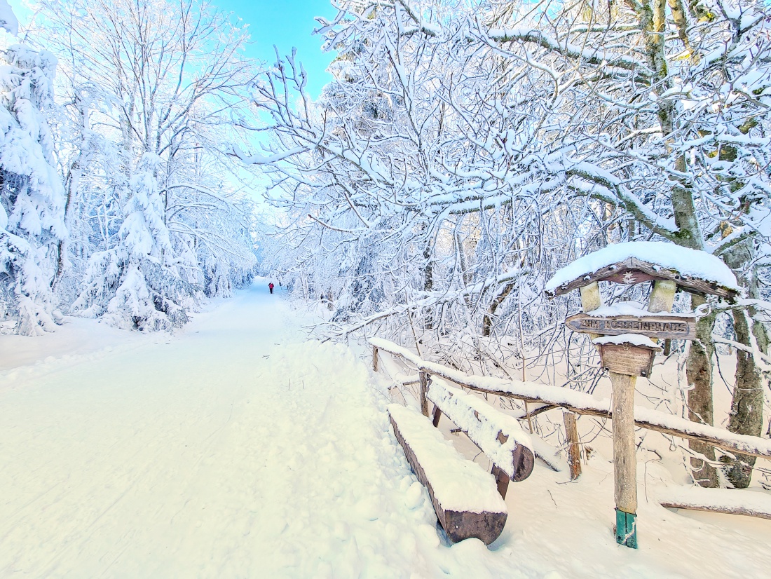 Foto: Jennifer Müller - Heute mal rauf auf die Kösseine.<br />
Winter-Wonderland und Sonne über Sonne... am Himmel und im Herzen 