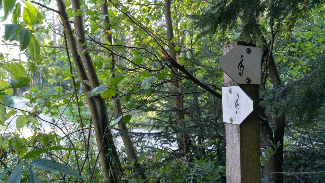 Foto: Martin Zehrer - Fahrrad-Tour:<br />
<br />
Noten im Wald, warum? 