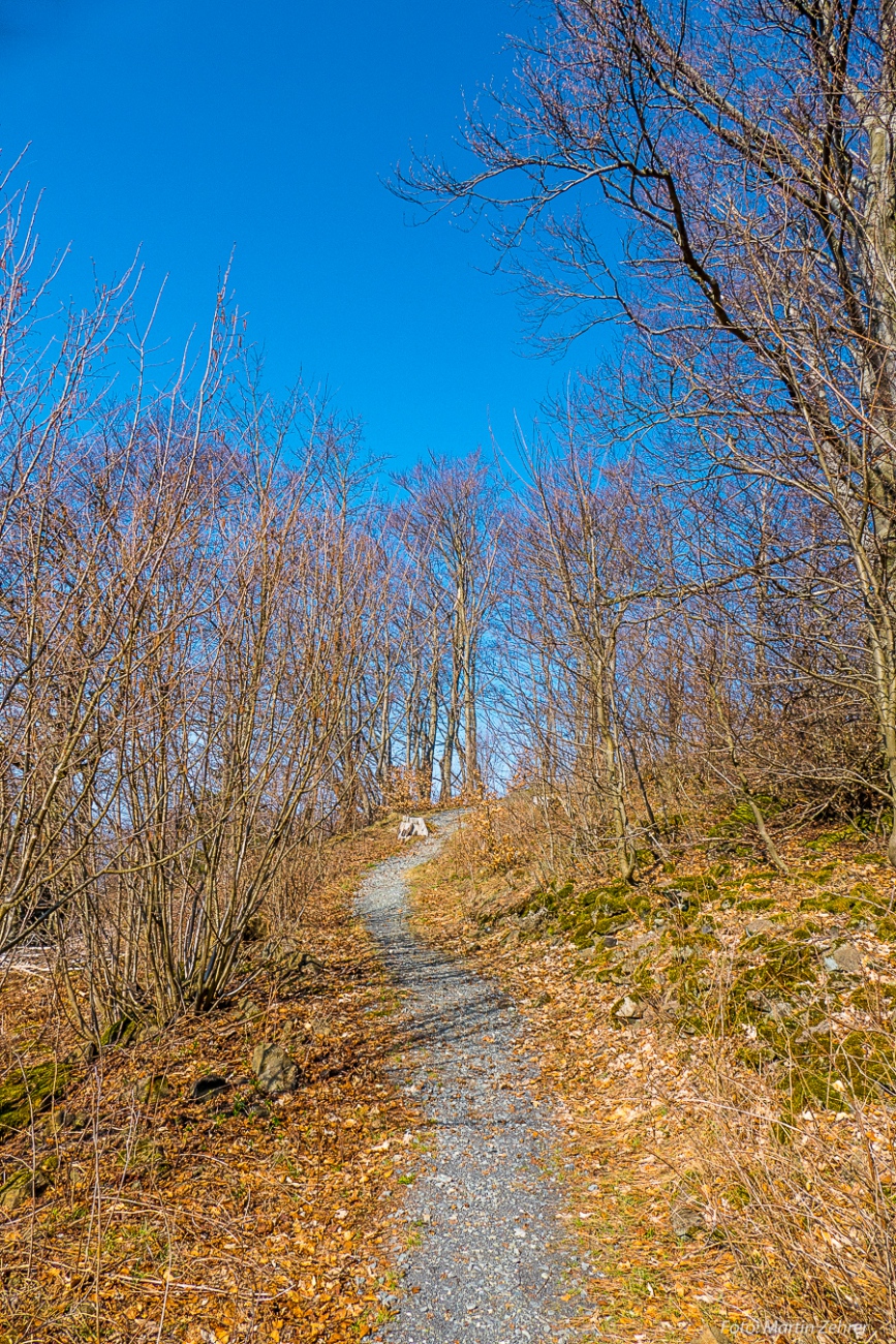 Foto: Martin Zehrer - Hier gehts runter, zum Aussichtspunkt hinterm Armesberg - Weg zum Glück! ;-)<br />
<br />
Samstag, 23. März 2019 - Entdecke den Armesberg!<br />
<br />
Das Wetter war einmalig. Angenehme Wär 