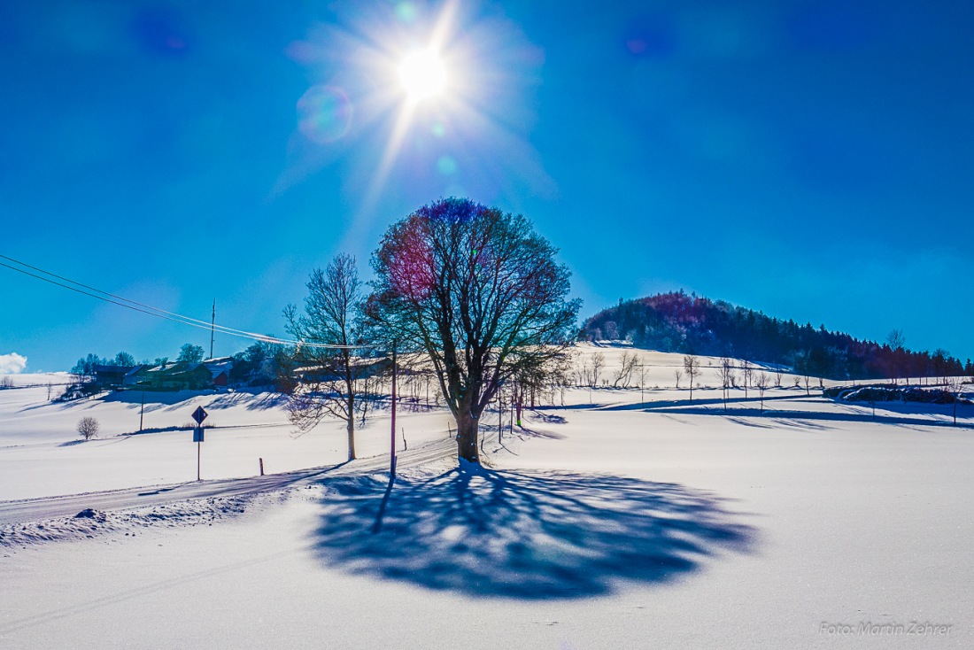 Foto: Martin Zehrer - 6. Januar 2017 - Was für ein Wintertag! 