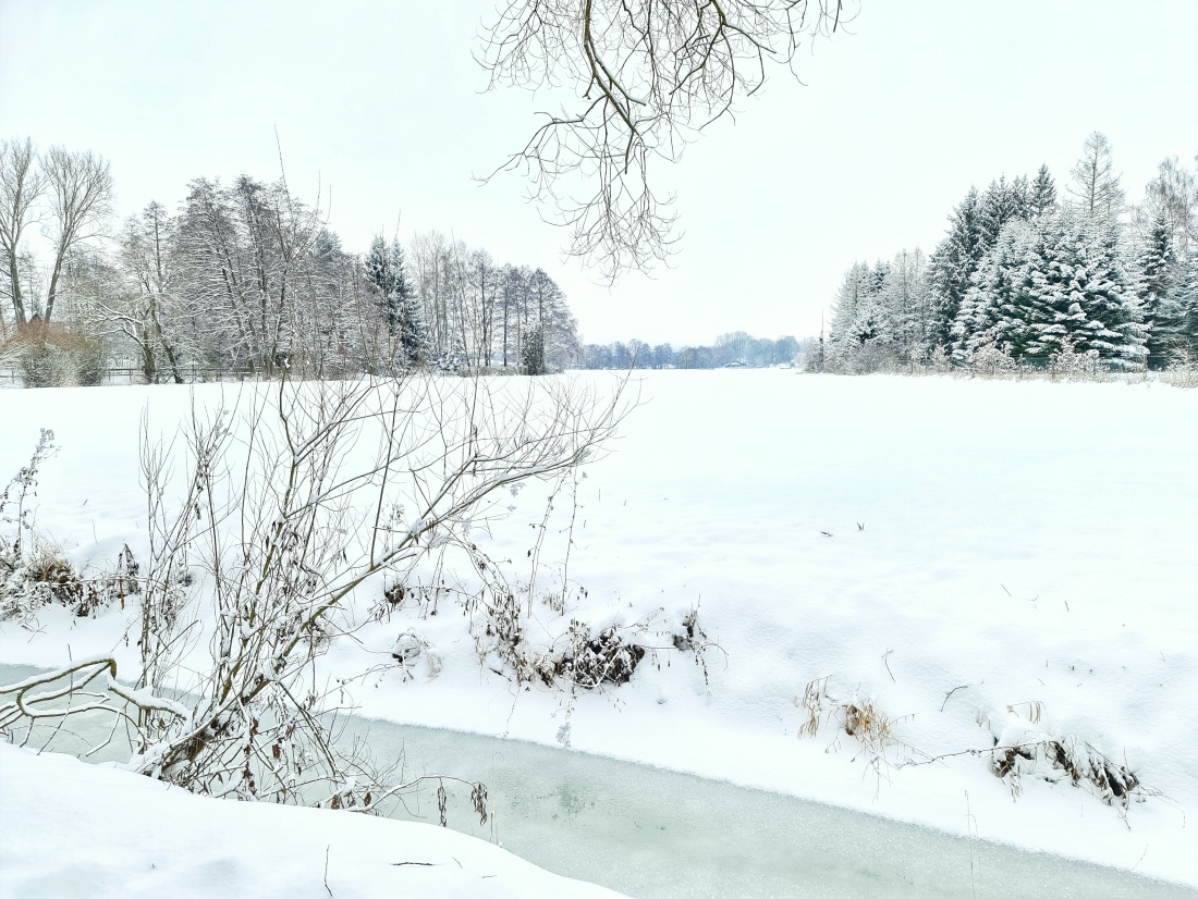 Es hat richtig viel geschneit in Kemnath!