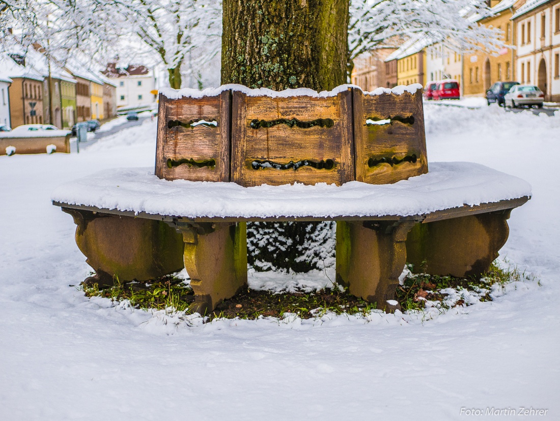 Foto: Martin Zehrer - Eine Bank rund um einen Baum gezimmert... Gesehen in Neustadt am Kulm. 