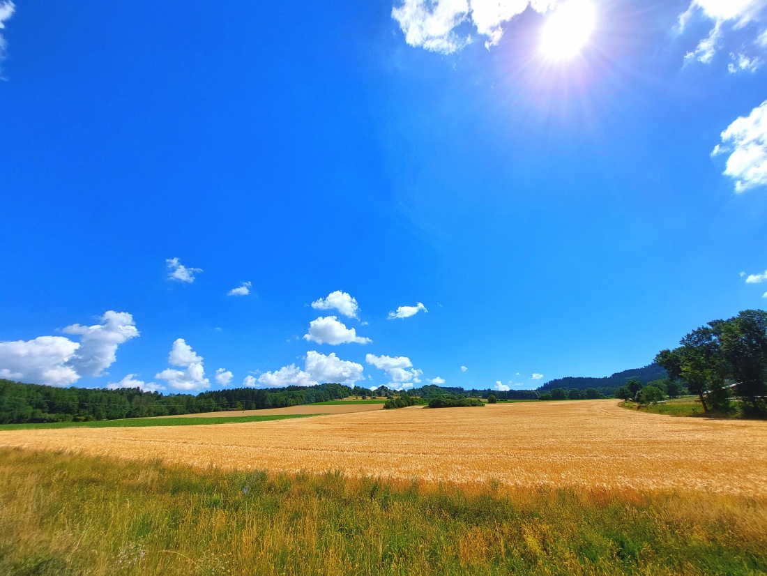 Foto: Martin Zehrer - Überall wunderschöner Sommer :-) 