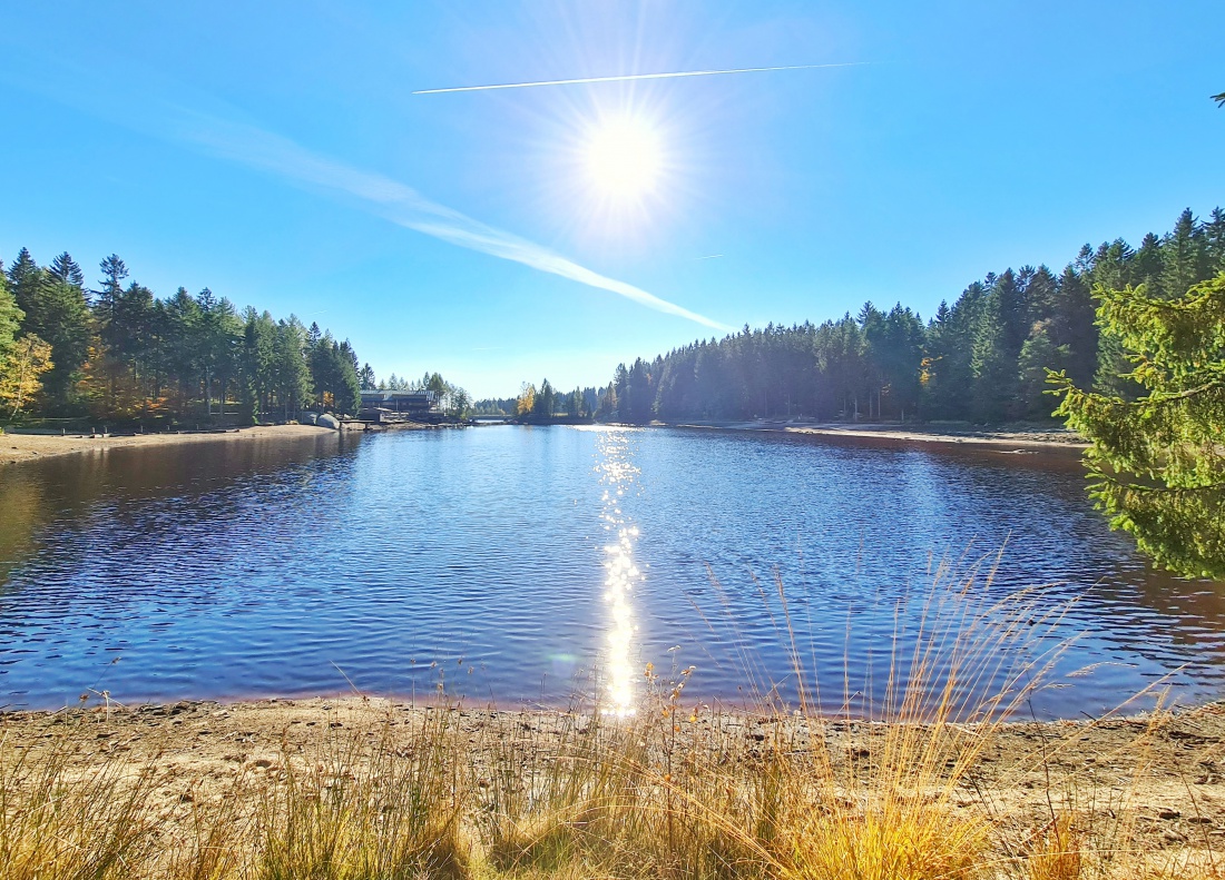 Foto: Jennifer Müller - Zuhause in Kemnath war es heute neblig und trüb. Also nichts wie raus und die Sonne suchen. Gefunden und genossen haben wir sie beim Spaziergang am Fichtelsee. 