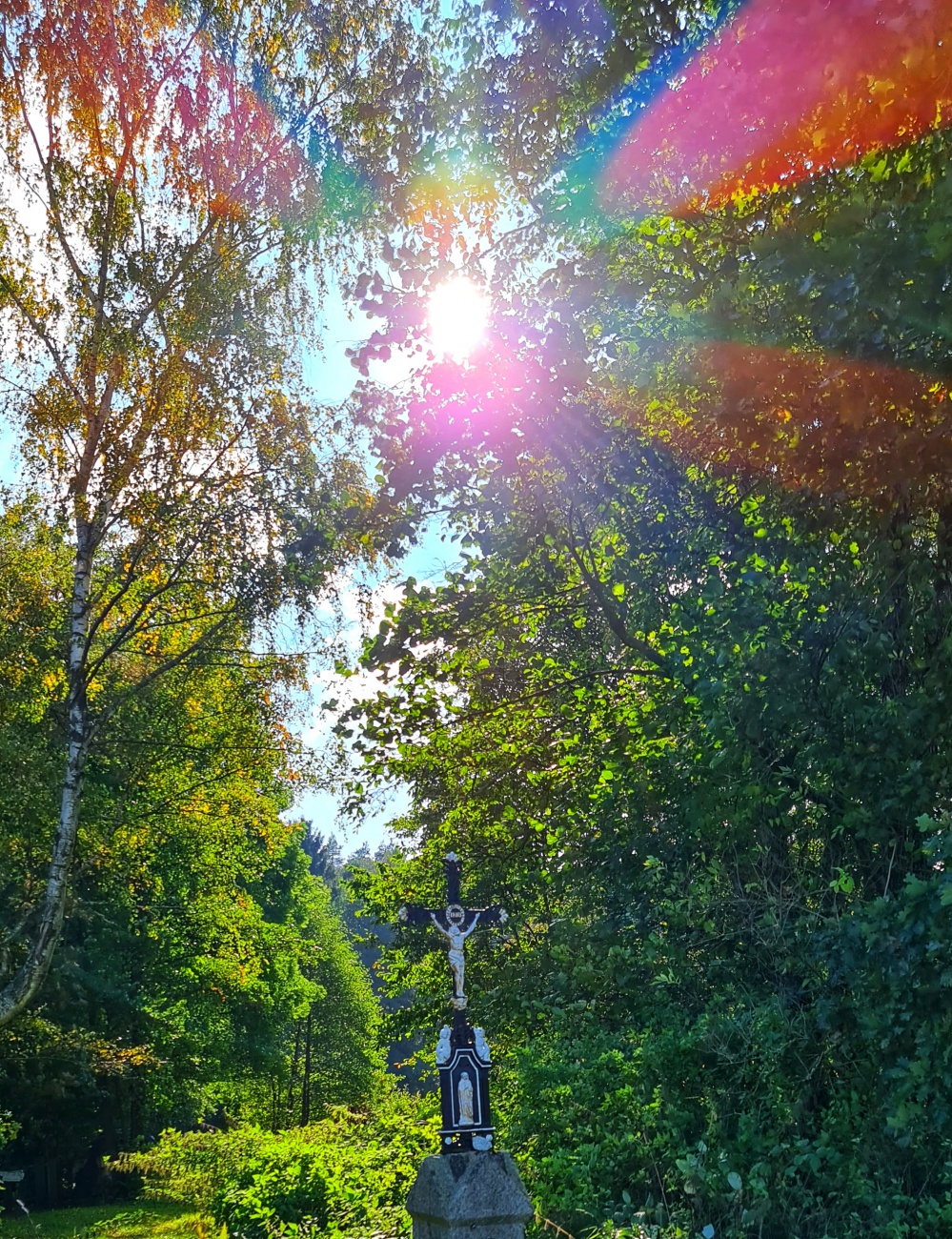 Foto: Jennifer Müller - Tolle Herbstwanderung am 08.10.2021 bei herrlichem Sonnenschein und ca. 14 Grad. Das Licht und die Farben sind zu dieser Jahreszeit richtig magisch... 