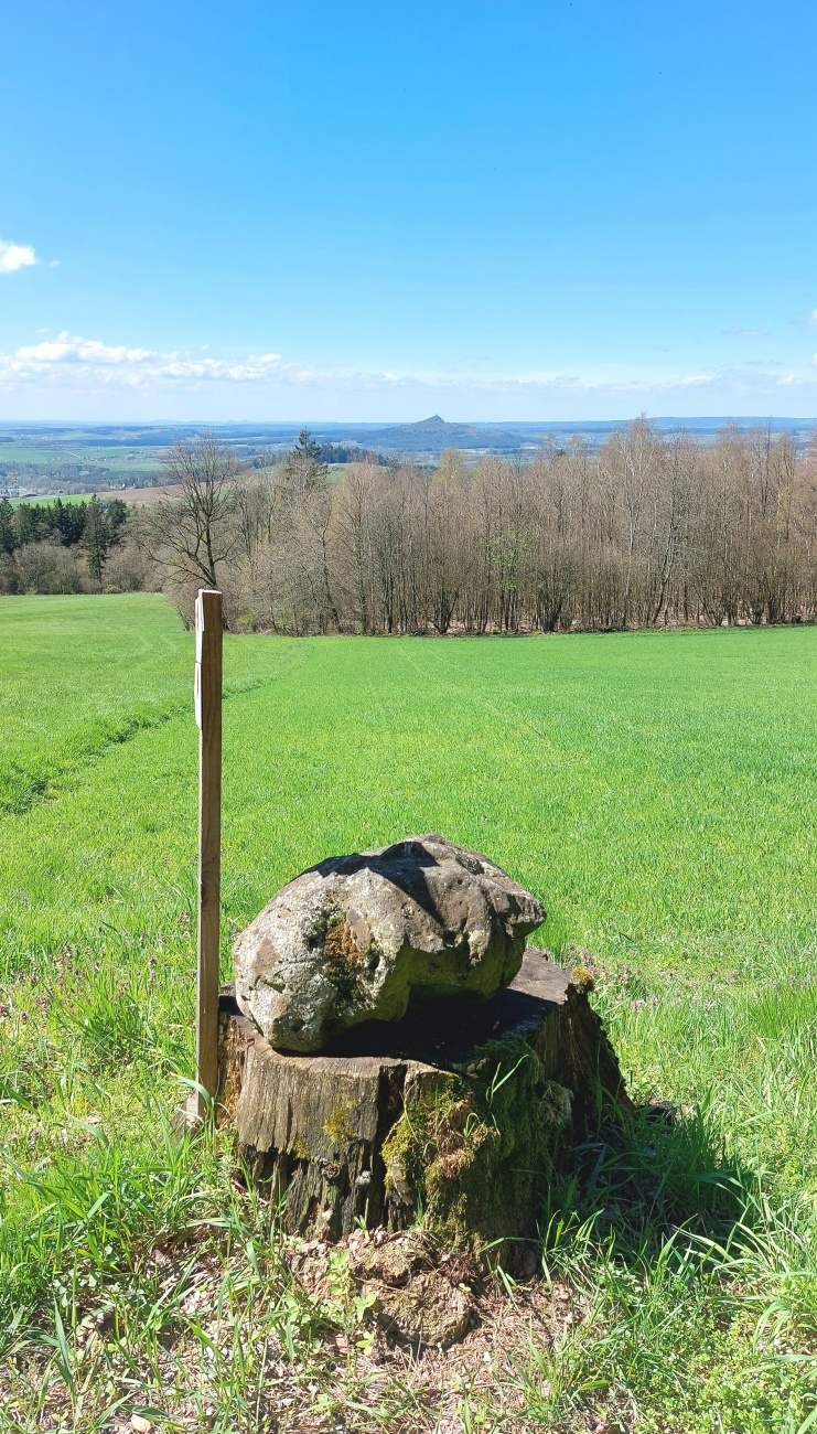 Foto: Martin Zehrer - Landmarke - Stein auf Stamm... dahinter der Blick in die Weite... 