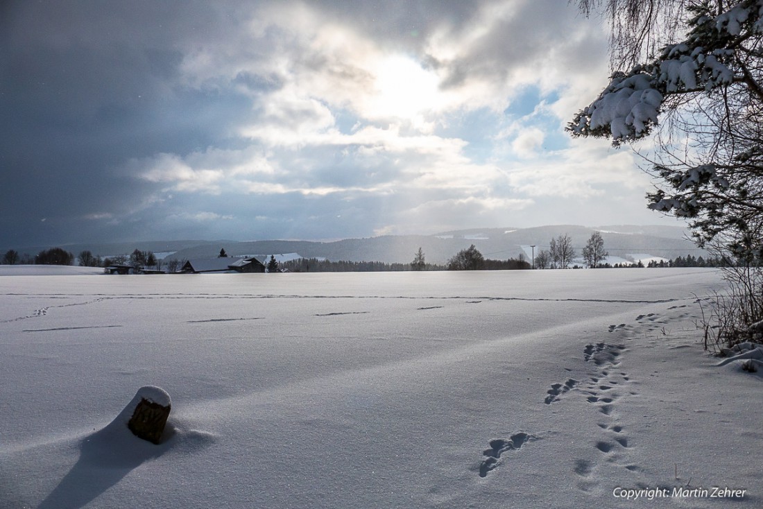 Foto: Martin Zehrer - Spuren im Schnee im Steinwald ;-) <br />
Blick in die Wolkenlücke... 